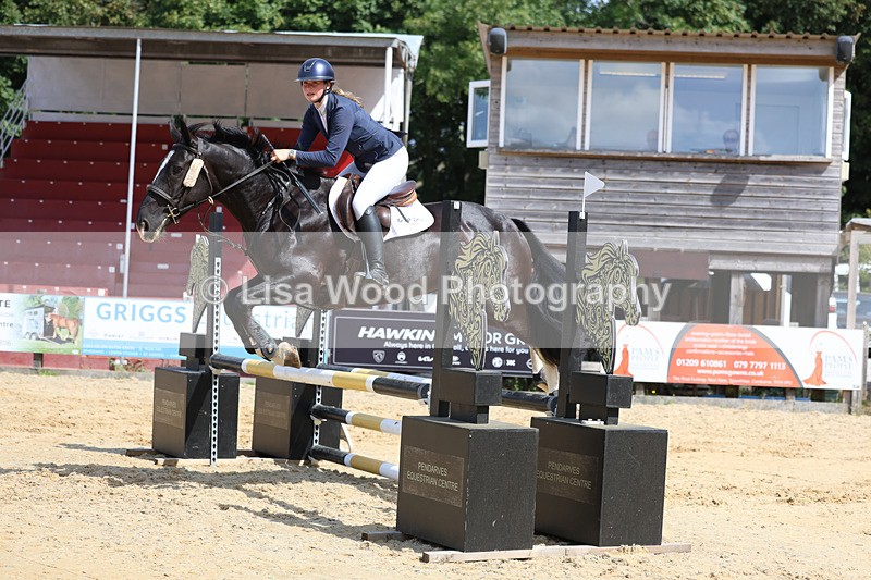 3E7A3568 - Class 4: Senior British Novice/90cm open