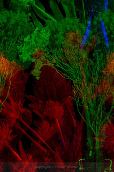 STILL LIFE-CYCLE - STILL LIFE-CYCLE I 2012