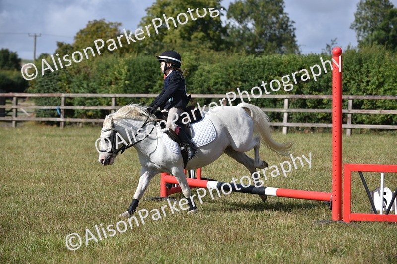 20250831-0425 - Class 7 - Absolute Novice 35cm