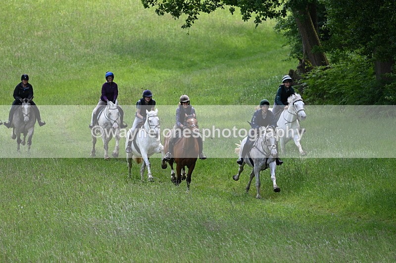 WJ7_8600 - Group 2 10:15am