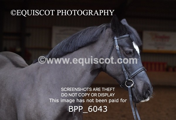 BPP_6043 - Erin Hancock ×2