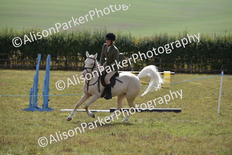 20250831-4087 - Class 13 - Working Hunter Horse or Pony