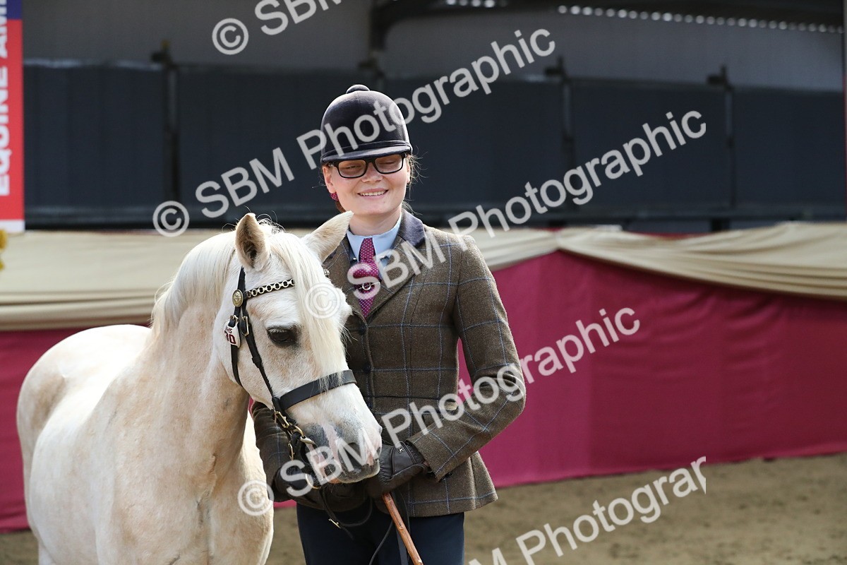 SBM_04442 - Class 7R Regional - IH Diamond