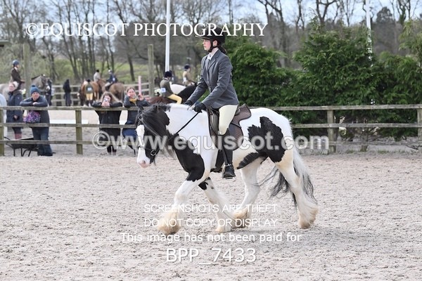 BPP_7433 - RING 1  (RIDDEN HORSES / IN HAND / VETERAN ETC)