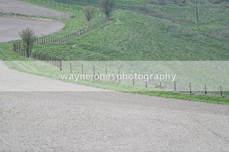 WJ7_7986 - Line 2 A camera