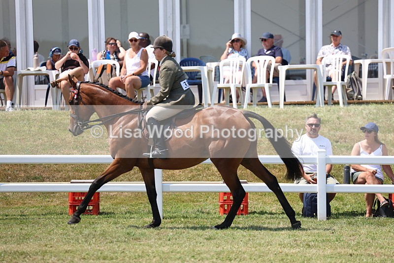 3E7A9387 - Class 12: Open Racehorse to Show Horse