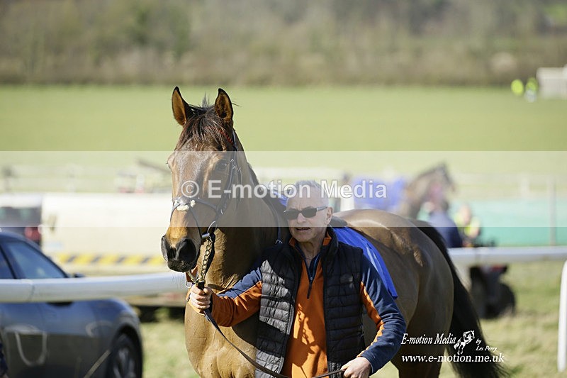 PtP 260222 308 - Kingston Blount Racing Club Point-to-Point 26/02/22