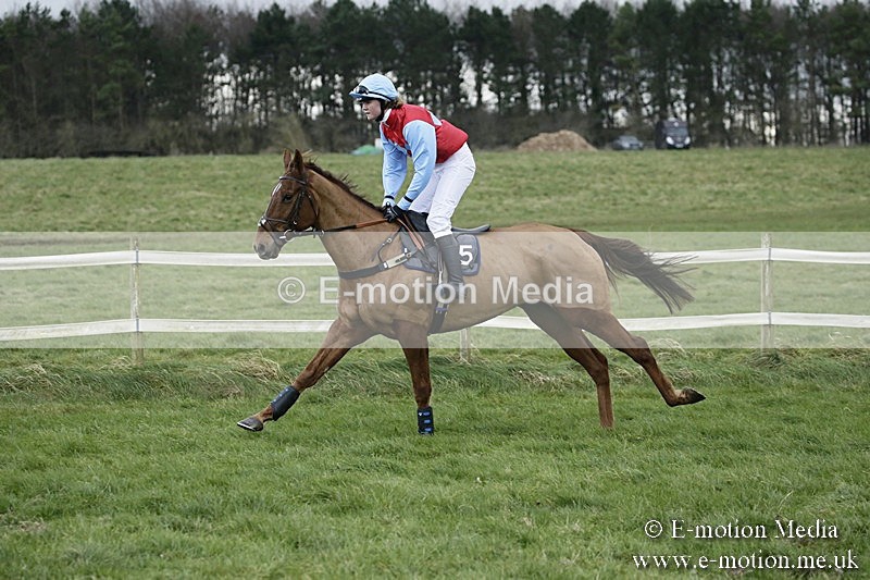 PtP 031217 357 - Hursley Hambledon Point-to-Point Larkhill 03/12/17