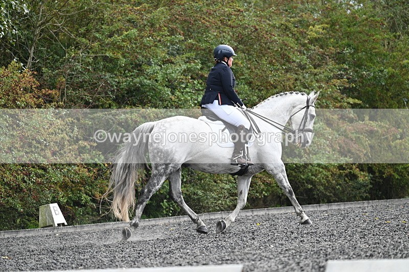 WJ7_6888 - Time 14:49 to 15:14