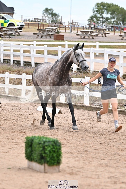 250716-135817-00829 - Trot Up 1.30 to 2.30