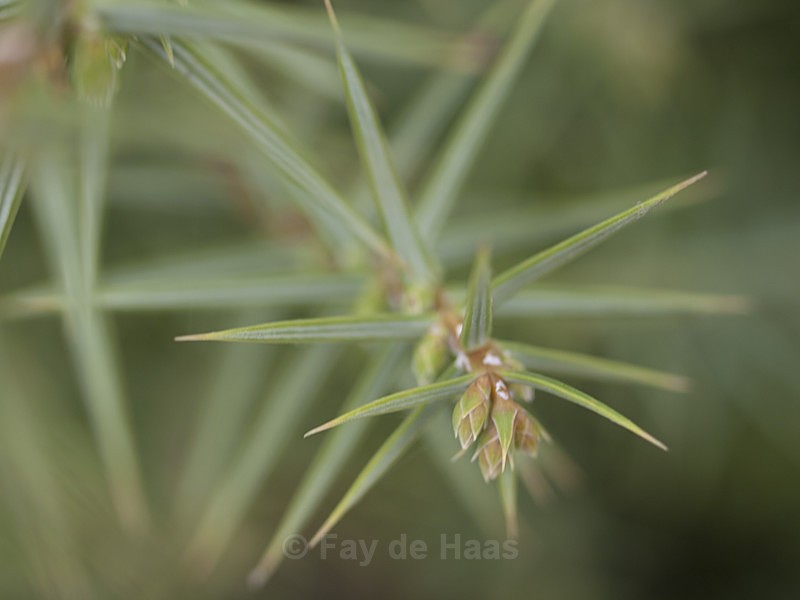  - Nature's Wonders