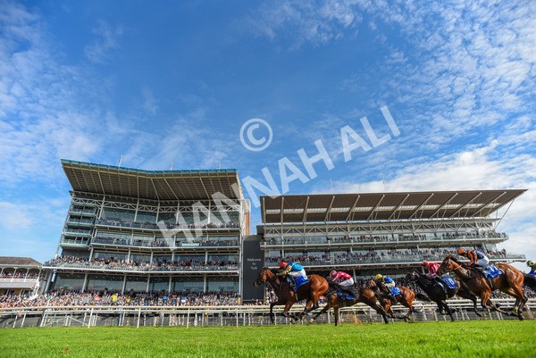 111025-Race 1-Division-6602 - Race 1 Coral Rockingham Stakes at York