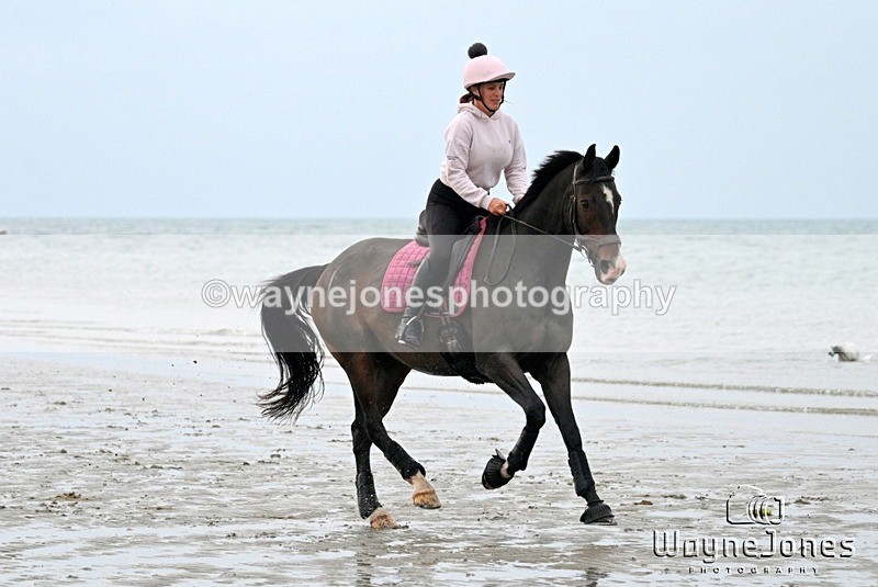 WJ7_9044 - Hayling Island Beach Shoot 22-09-24