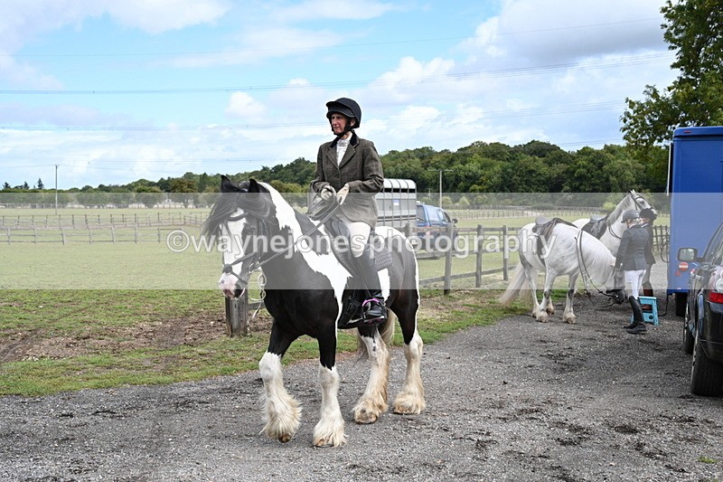 WJ7_6769 - Berks & Bucks at Blandy’s Farm 31-08-25