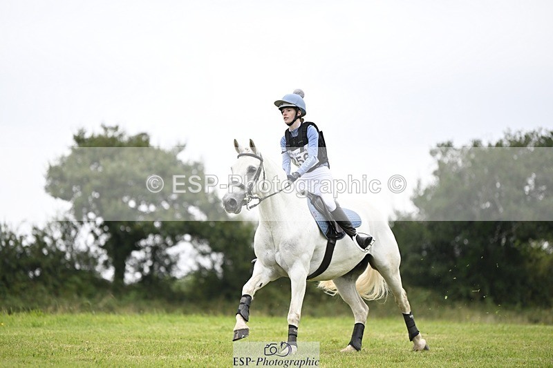 240831A-141755-03592 - 256-Tiarna.Falco-AUGHNAKEERAGH.DANNY