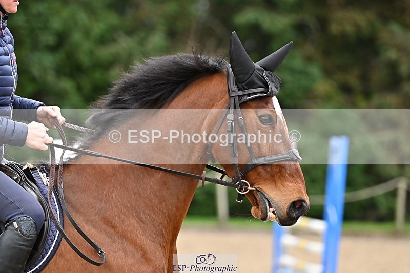 250201A-122052-00654 - Cls 02 Local Horse 100cm