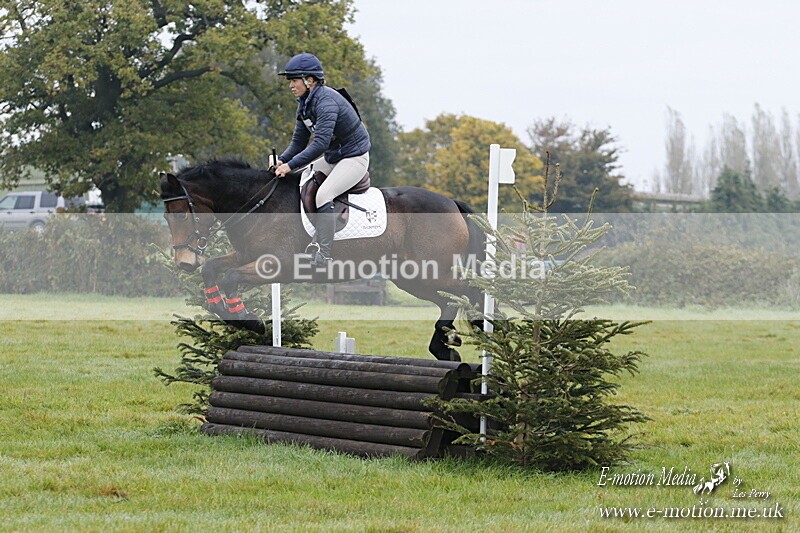 WWHT 181020 WWHT 181020 208 - WWEC Novice Restricted (0.80m) 18/10/20