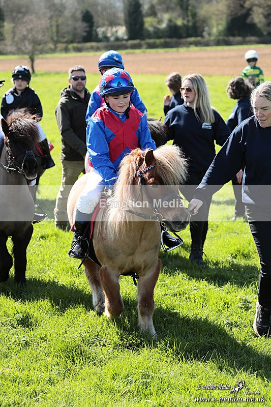 Shet 060426 357 - Shetland Pony Racing Paxford Races Easter Mon 06/04/26