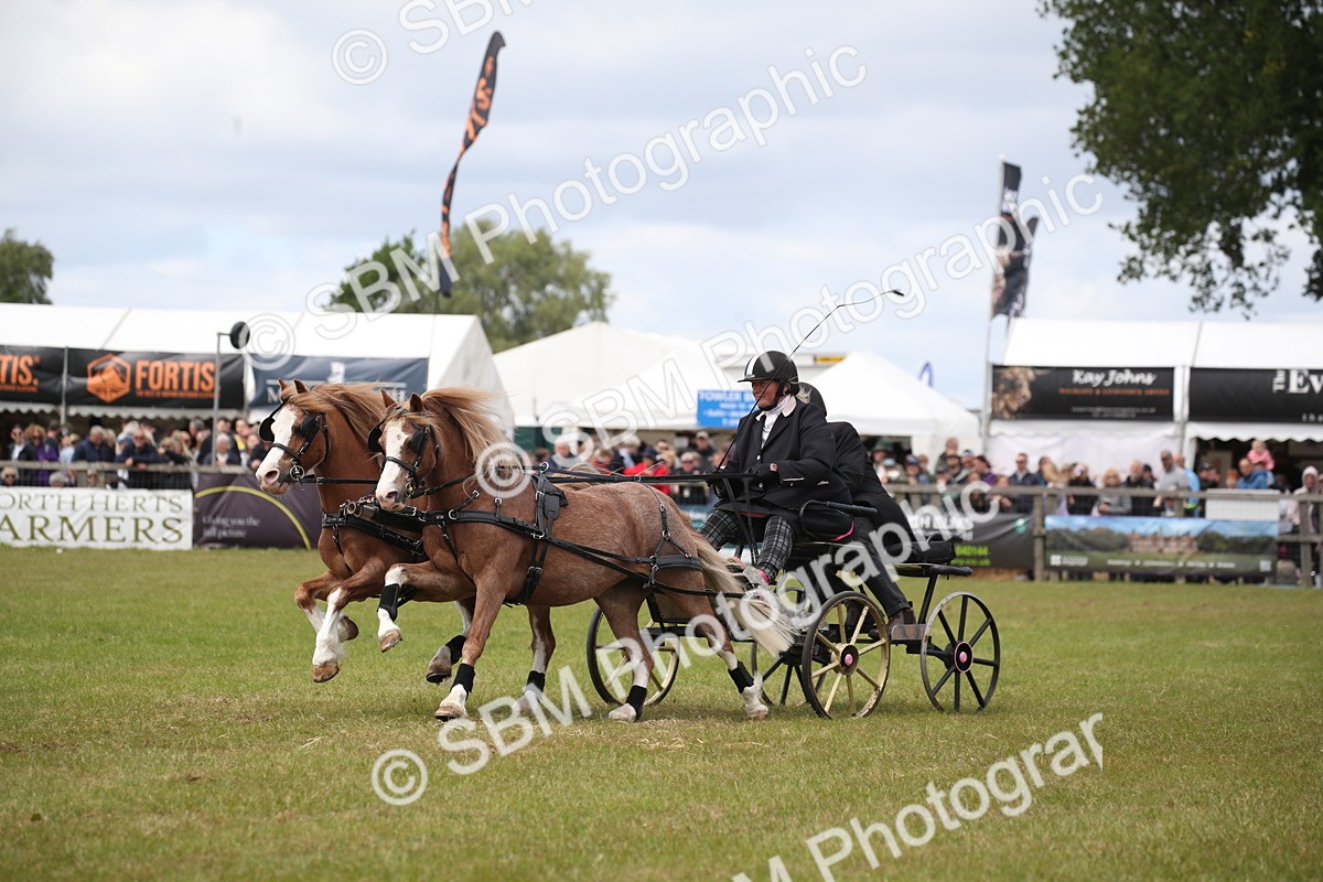 SBM_15498 - Class 90 - Scurry 122cm and Under