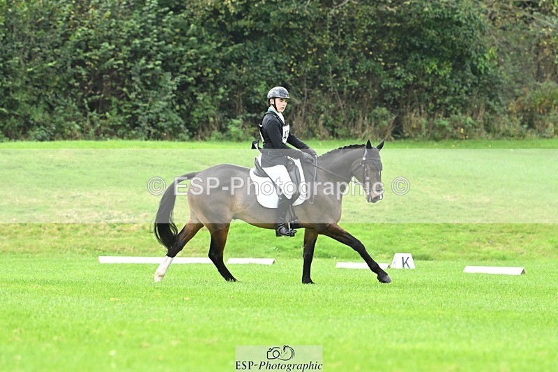 241024-100951-02944 - 406-Harvey.Crocker-THE.NIGHT.TRAVELLER