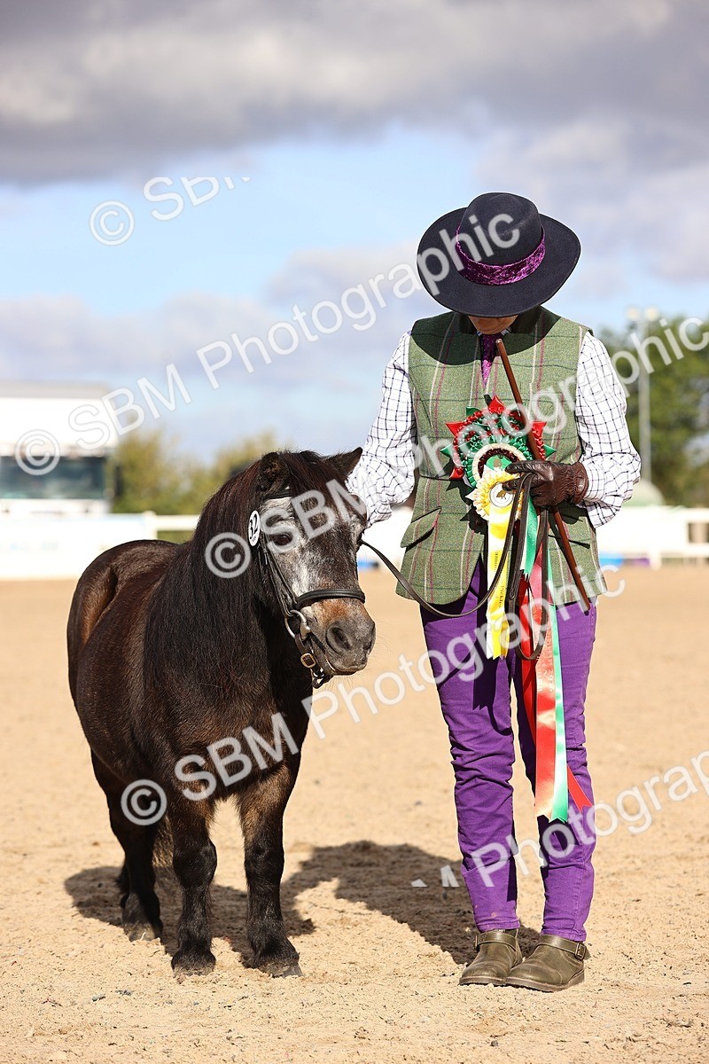 SBM_08548 - Class 402 - IH Veteran Pony