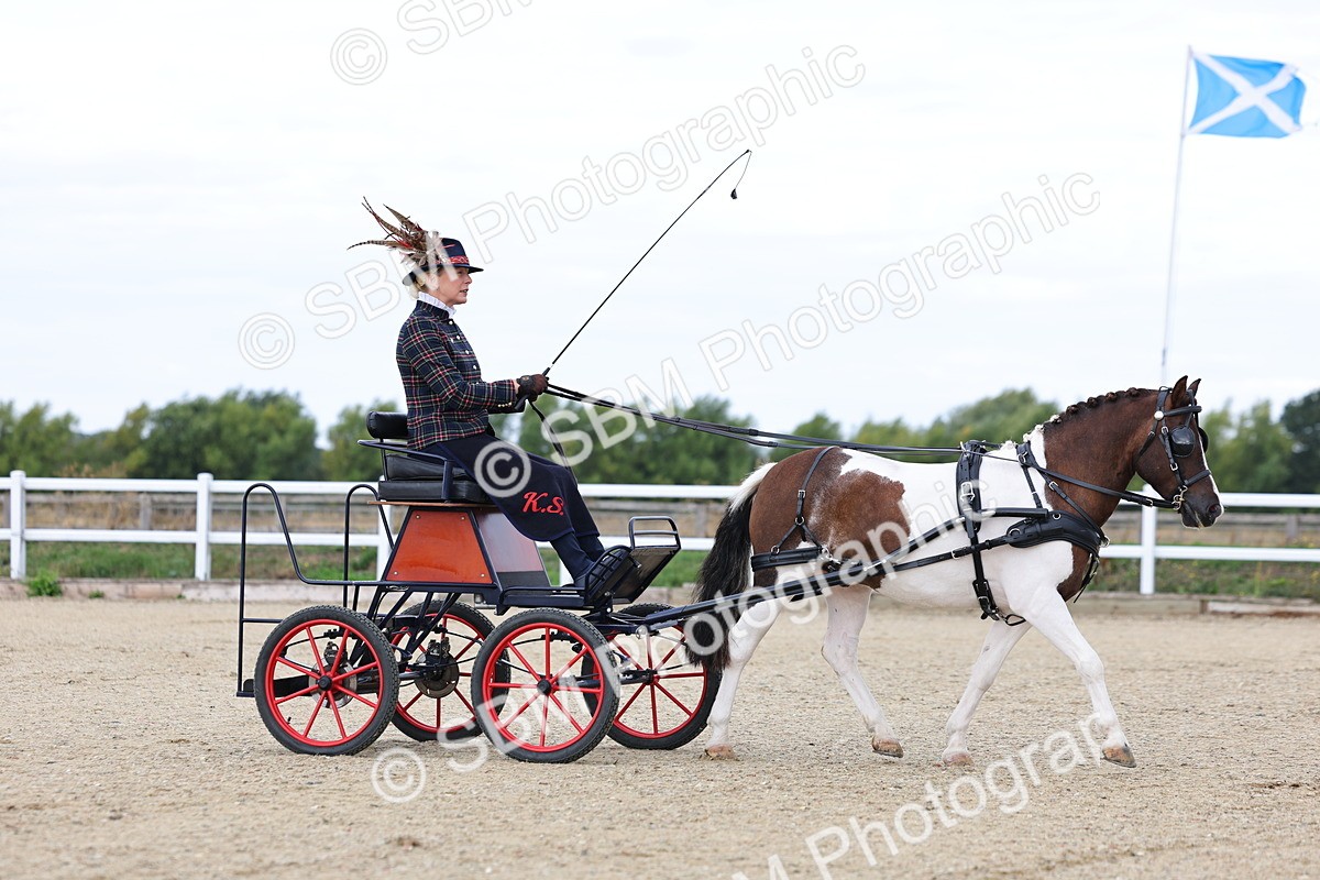 SBM_000250 - Class 2 - Exercise Vehicle 13.2hh & Under