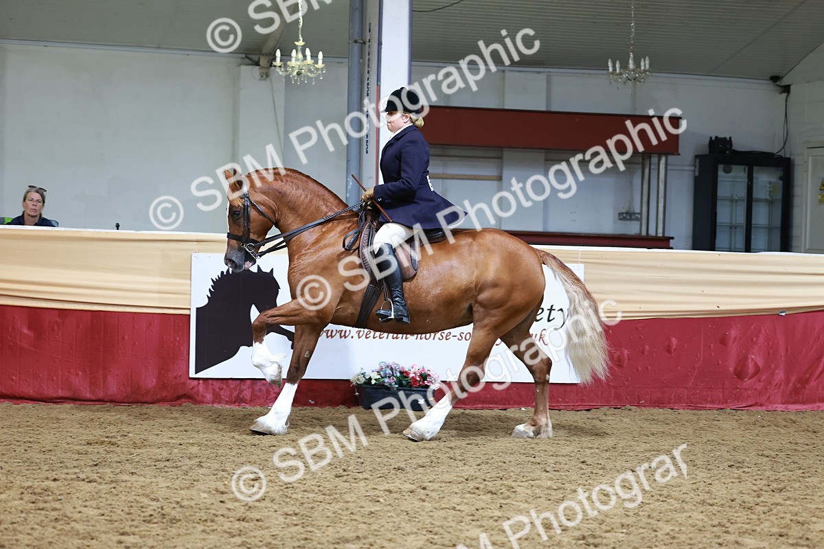 SBM_18594 - Class 952 - M&M Ridden Supreme Final