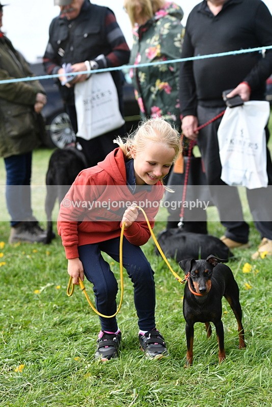 WJ5_0570 - Class 7 Best Terrier