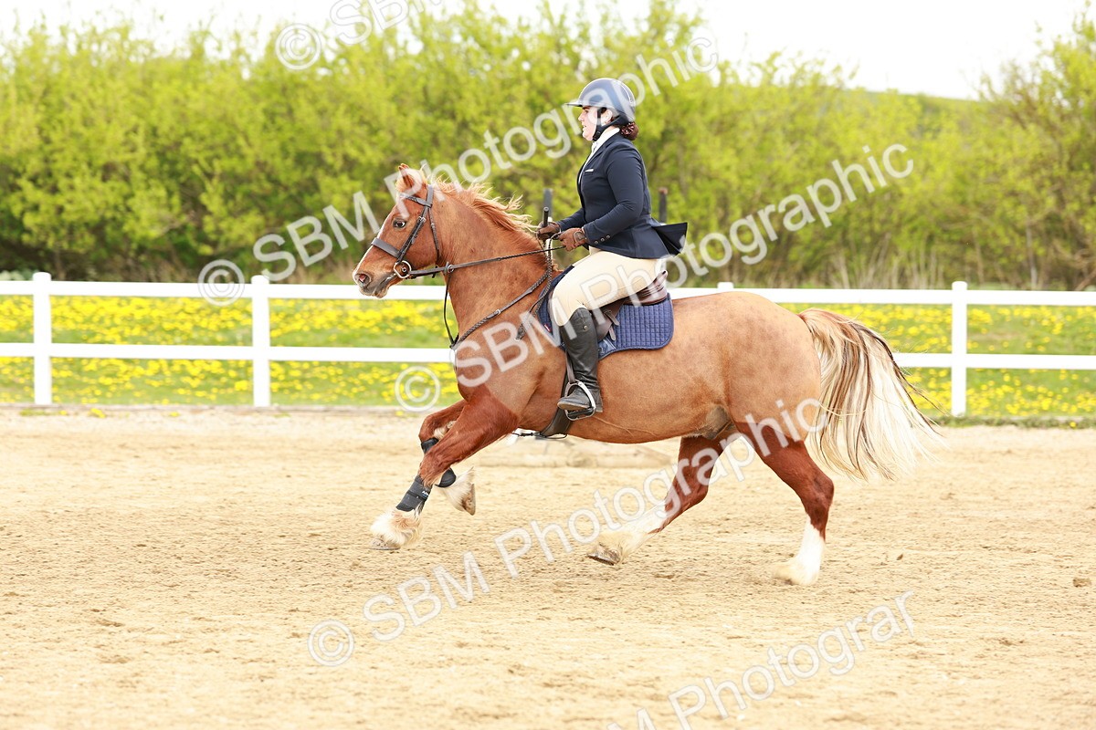 SBM_004194 - Class 3 - 60cm