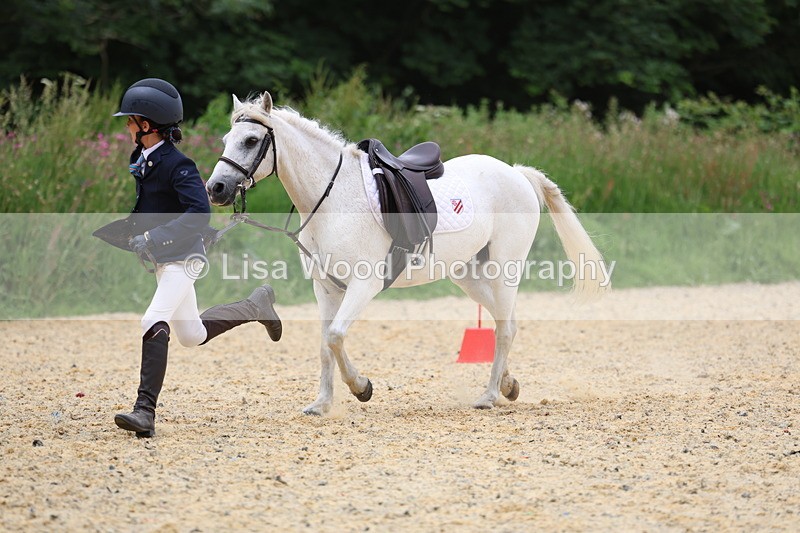 3E7A9680 - Walk trot run