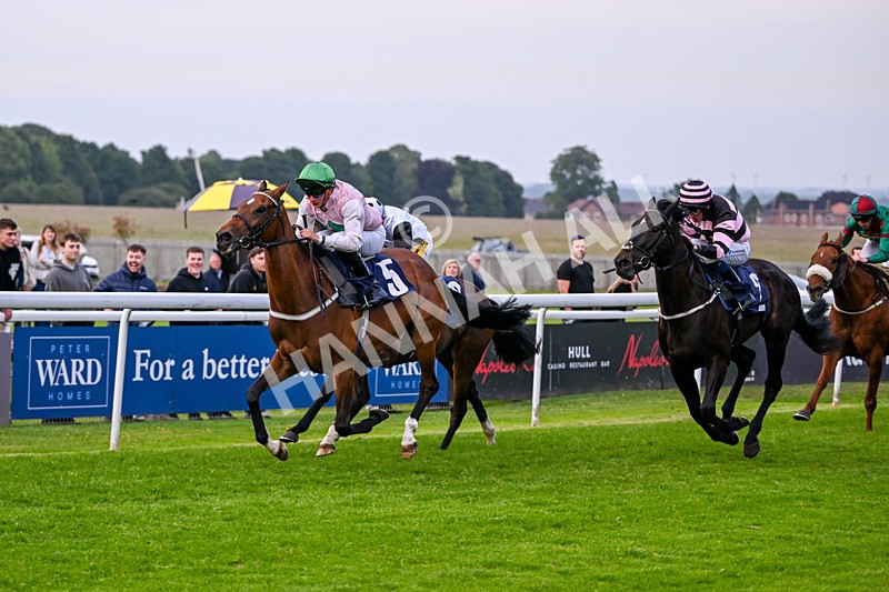 160626-Race 5-Anificas Beauty-5228 - Race 5 20.30pm Churchill Tyres Handicap