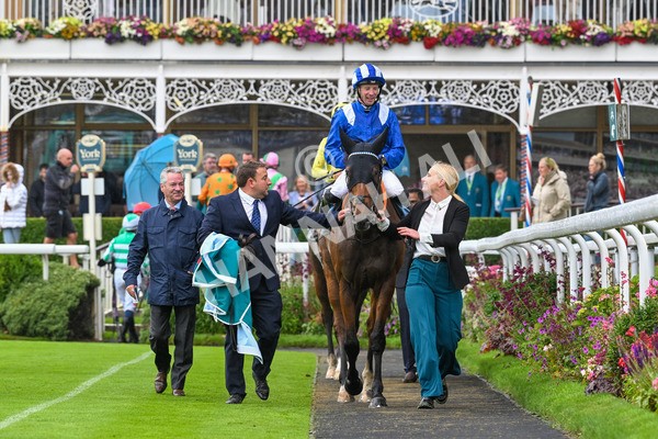 130724-Race 3-Enfjaar-7320 - Race 3 3.10pm John Smith's Cup Handicap