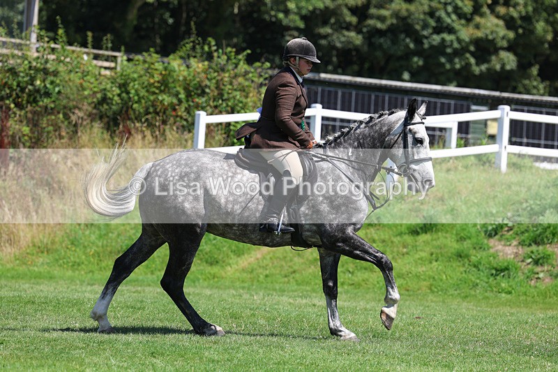 3E7A9164 - Working Hunter Championship