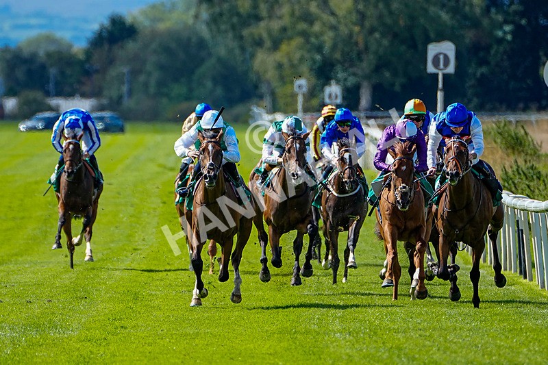050926-Race 1-Prince Kameo-1 - Race 1 1.35pm Personal Touches Day Of Elegance Nursery Handicap