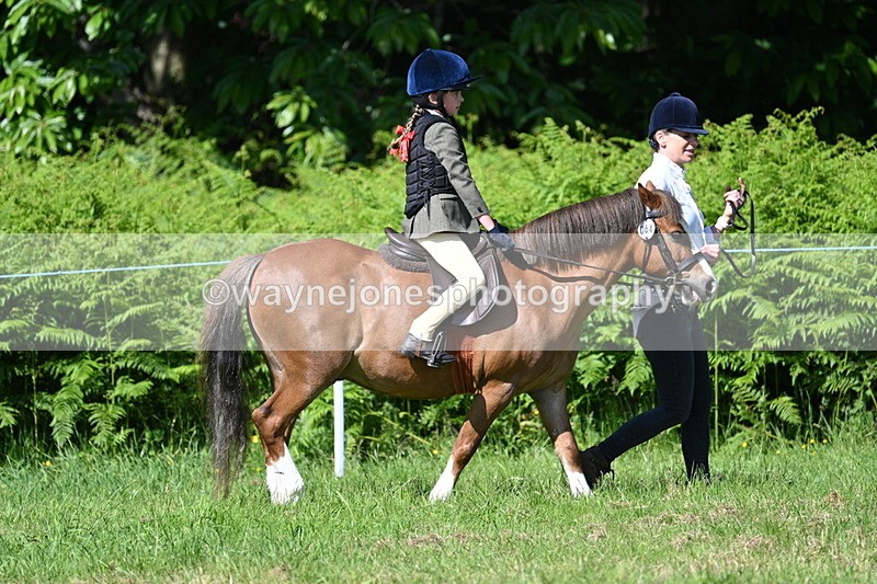 WJ7_0766 - Class 8 First Rally Pony