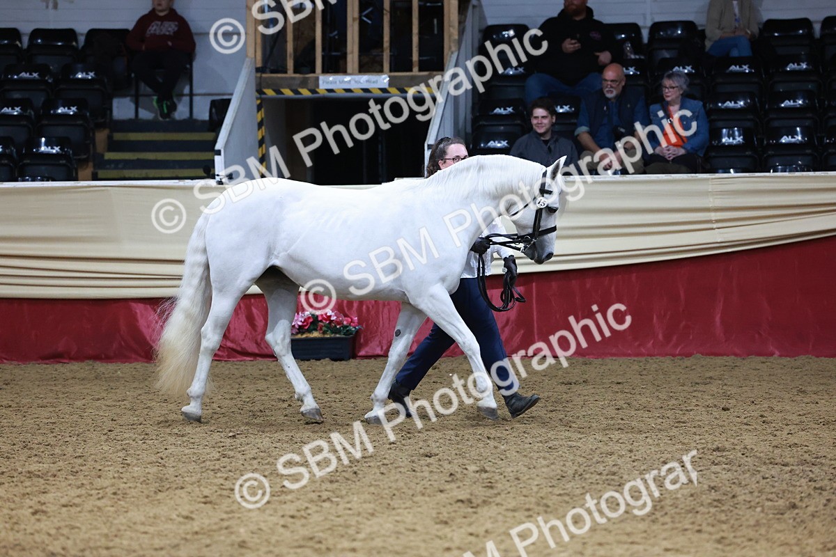 SBM_20109 - Class C - Novalty Champ