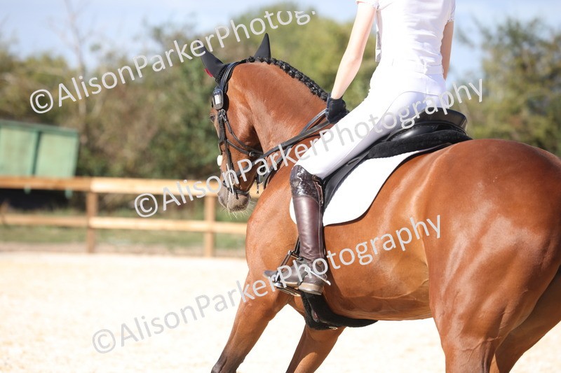 20260905-1511 - Class 5 - Novice 2
