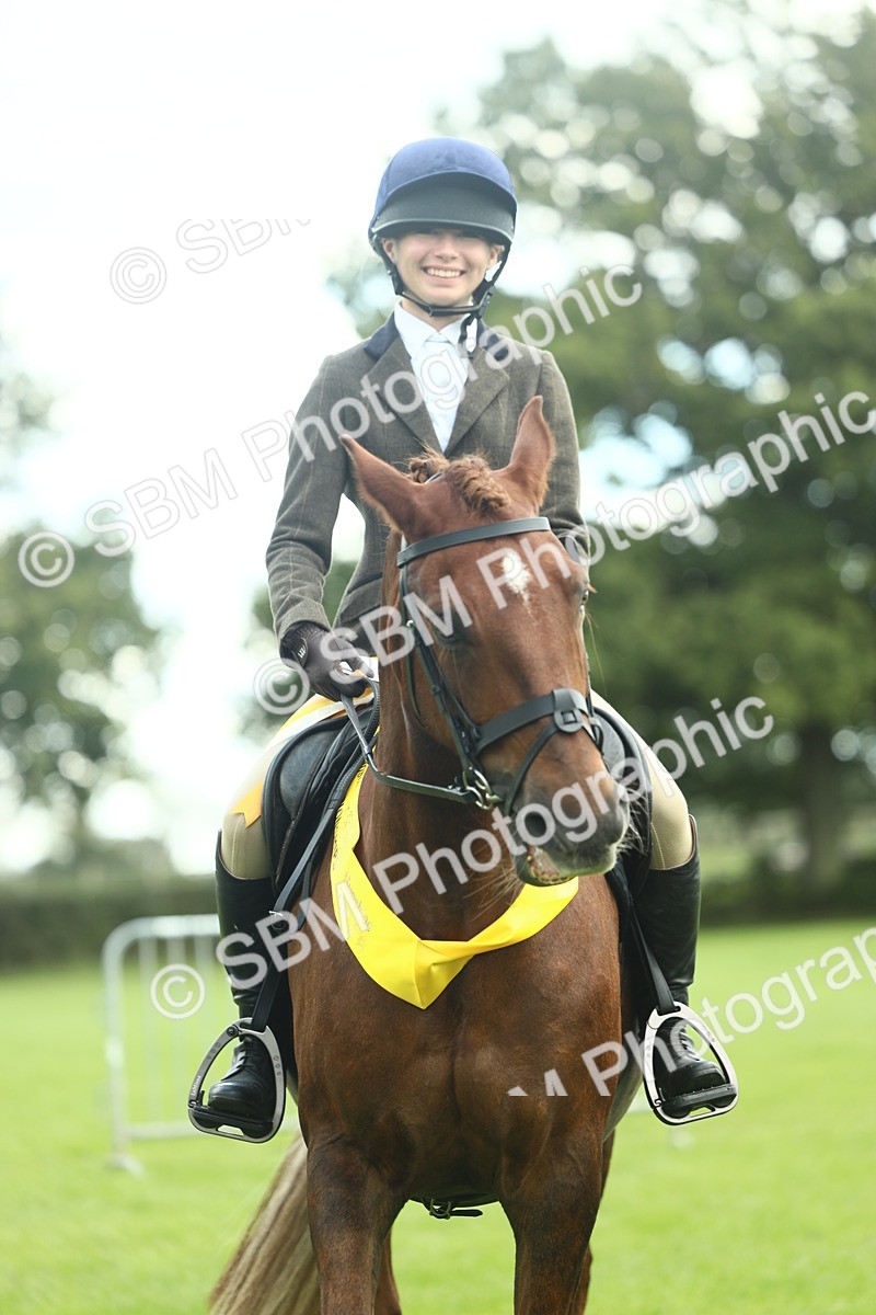 SBM_42191 - S29 - Novice & Newcomers Working Hunter Pony