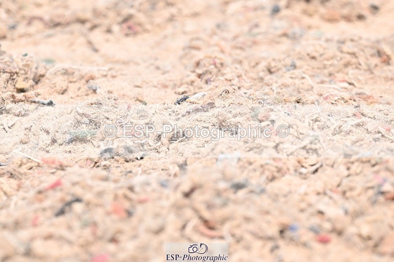 250621-133825-08688 - Cls 29 - Elementary 5, Start to 14.10