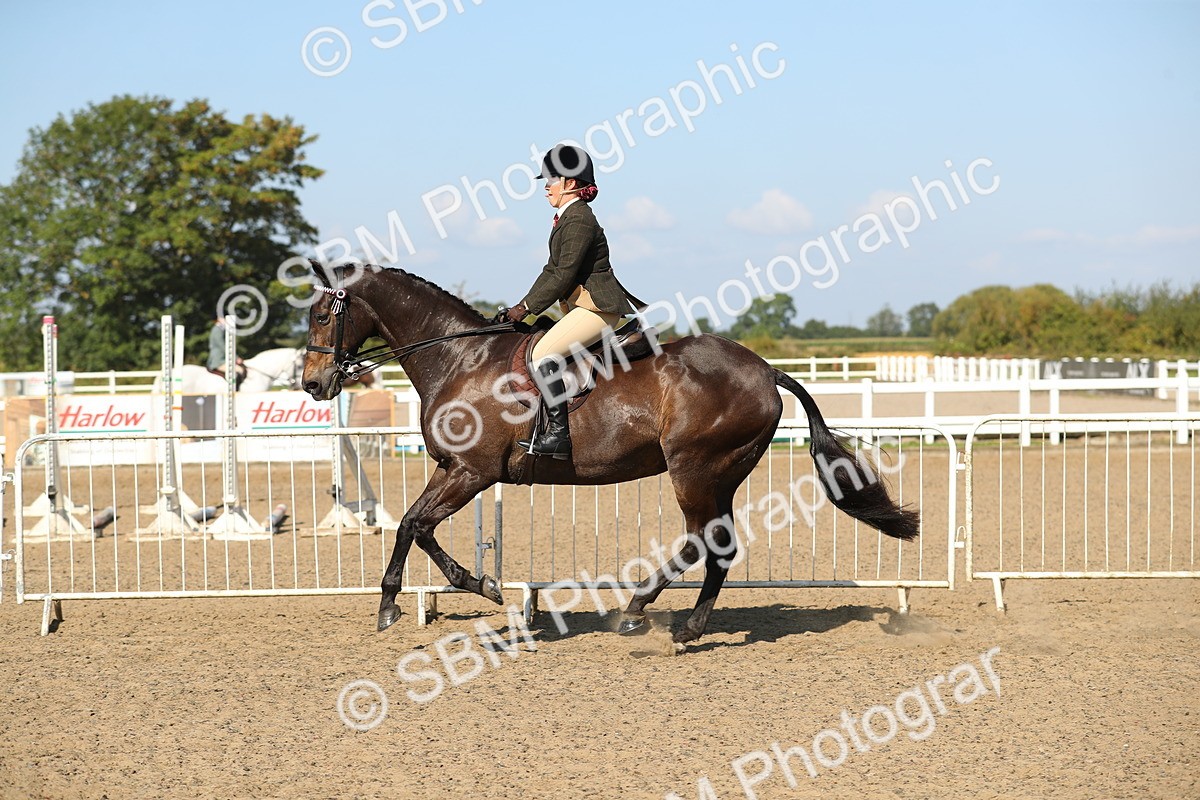 SBM_02247 - Class 43 Ridden Competition Horse/Pony