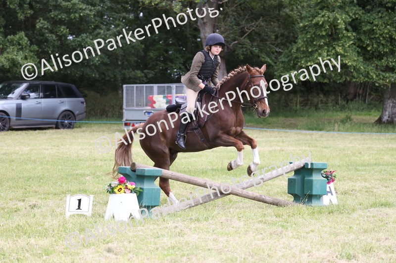 20260614-2723 - Class 22 - Open Working Hunter