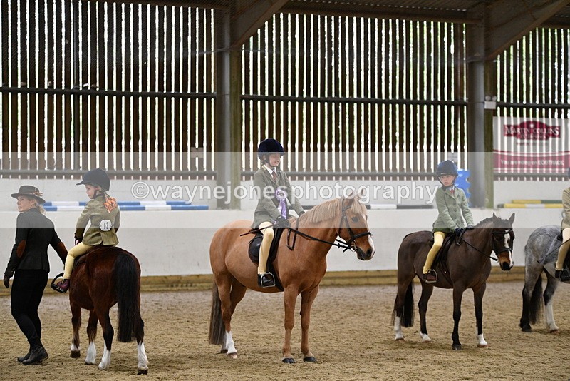 WJ5_7146 - Class 10 Childs Pony
