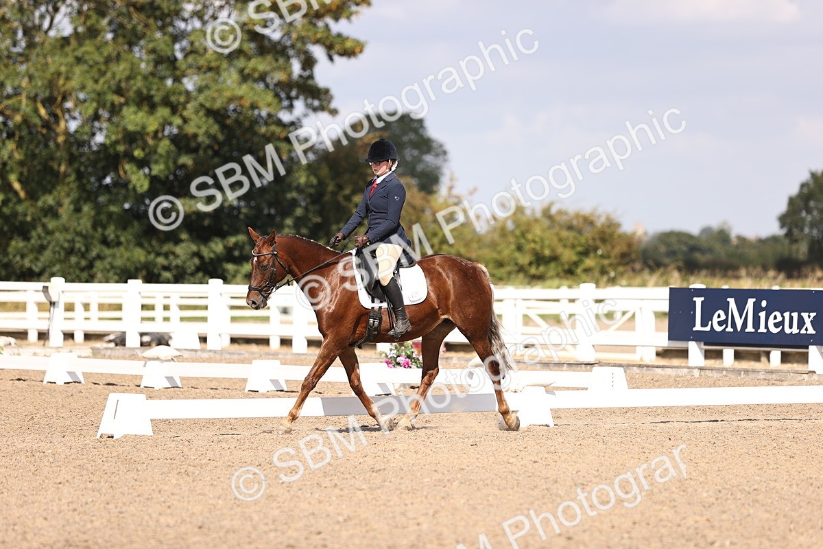 SBM_03574 - CLass 35 Intro 3