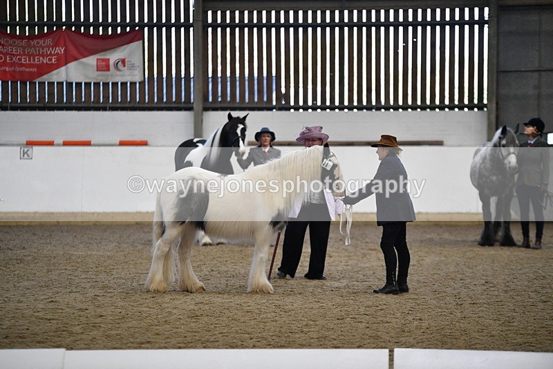 WJ5_5434 - Class 8 In hand cob