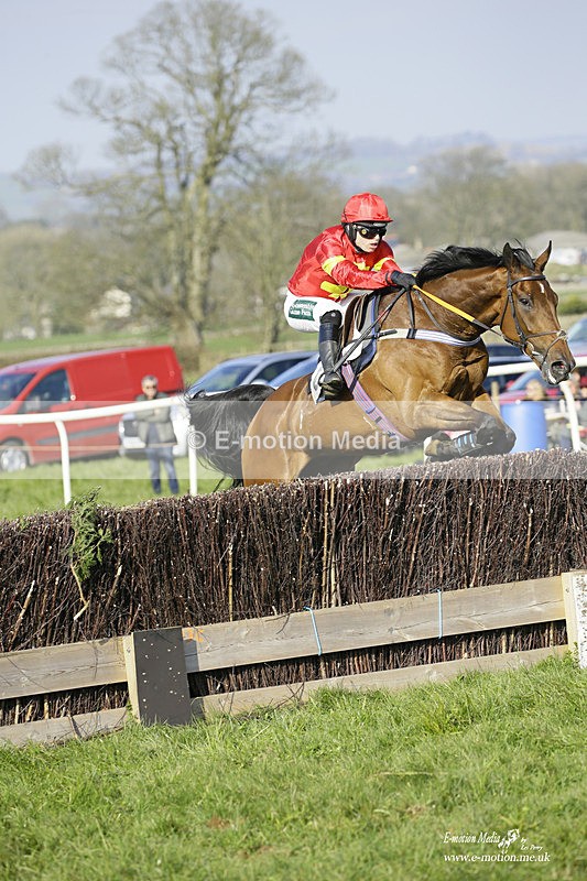 PtP 200322 392 - Mendip Farmers Point-to-Point 20/03/22
