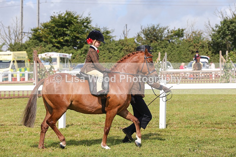 1X9A3622 - Class 29: Lead Rein SP/SHP