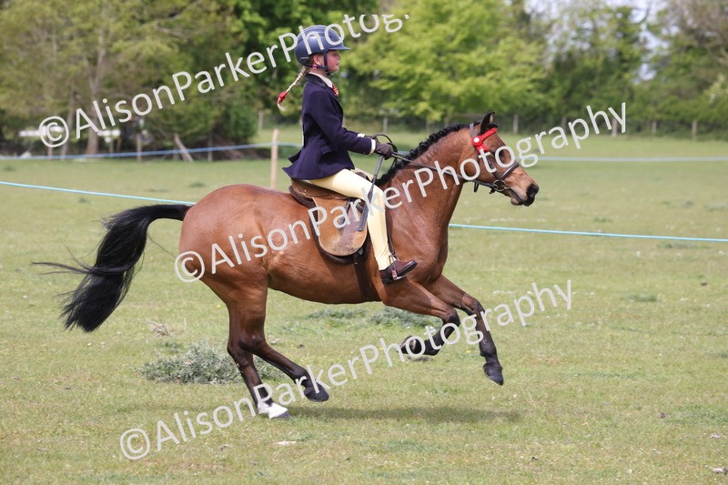 20260426-2987 - Class 33 - Best Pony 14.2hh and Under