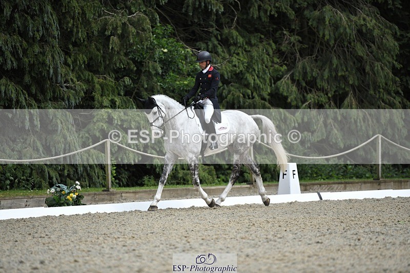 230525-160657-03320 - 118-HIGH_HOPES_VIKING-Harry_Meade-WEDTrotUp+DR