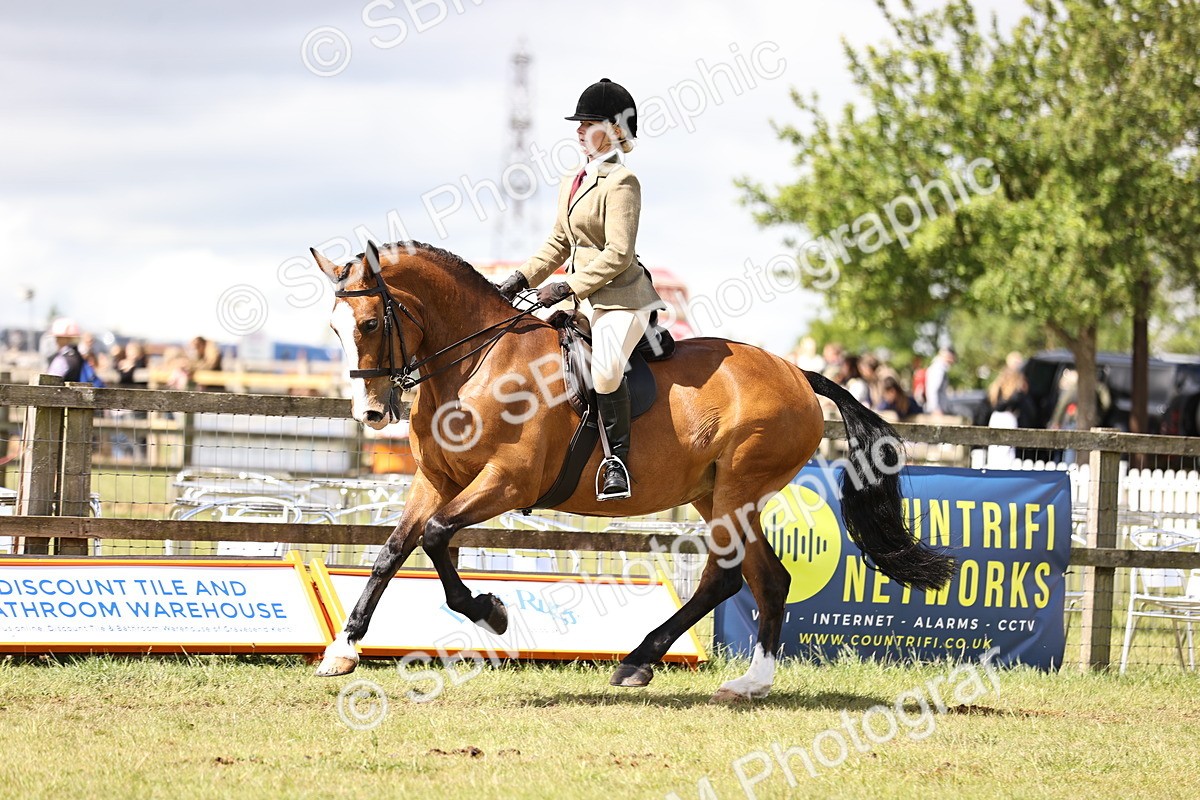 SBM_14549 - Class 88-89 - LIHS BSHA Rising Star of Ridden Hunter Type