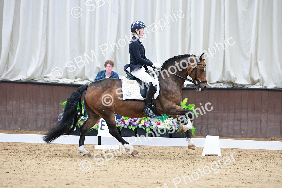 SBM_017154 - Class15 - FEI Pony